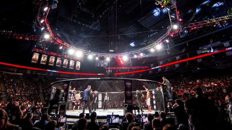 Qué es la UFC